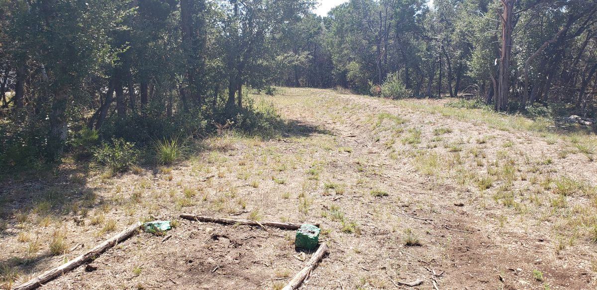 Hole 6 Short