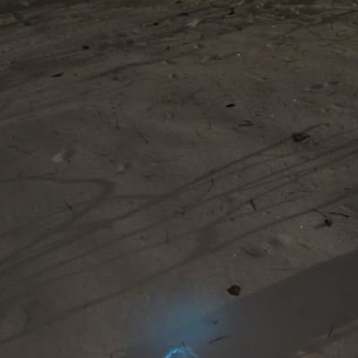 Glow in the snow!