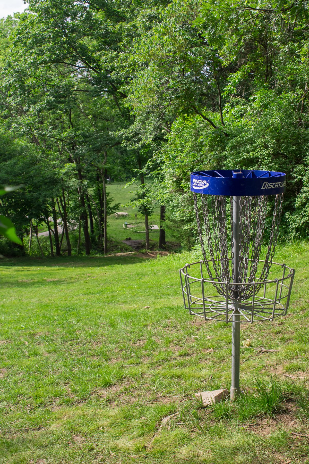 Hole 11 long looking back at tee