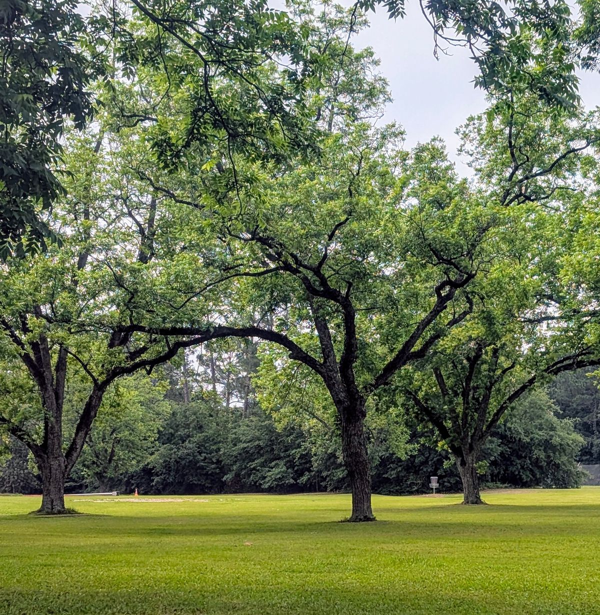 18 fairway to blue basket