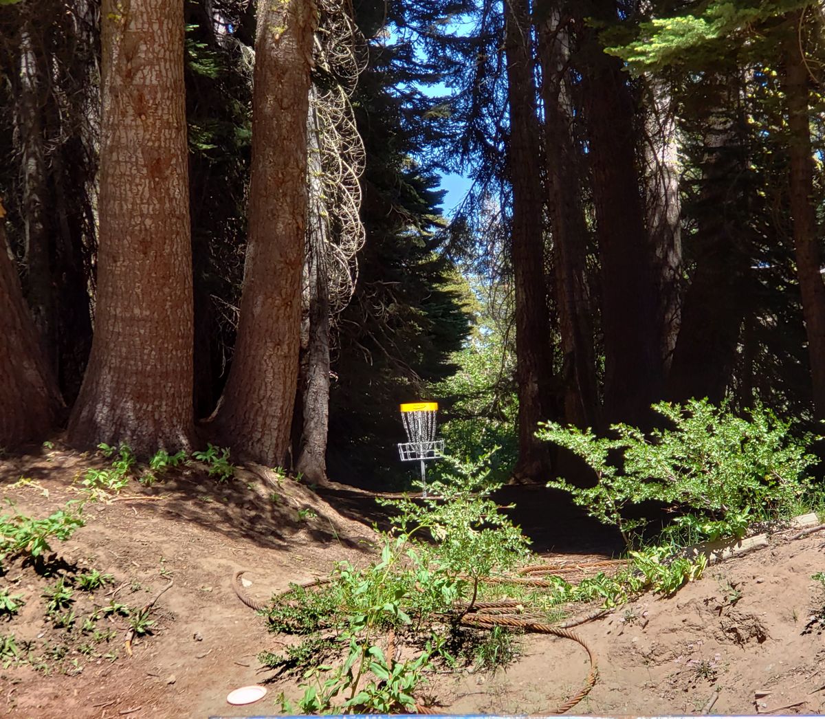 Mother Nature lighting the basket, can you throw the line to highlight your round?