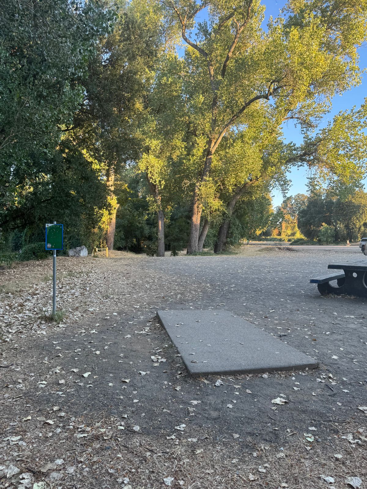 Hole 1 tee pads