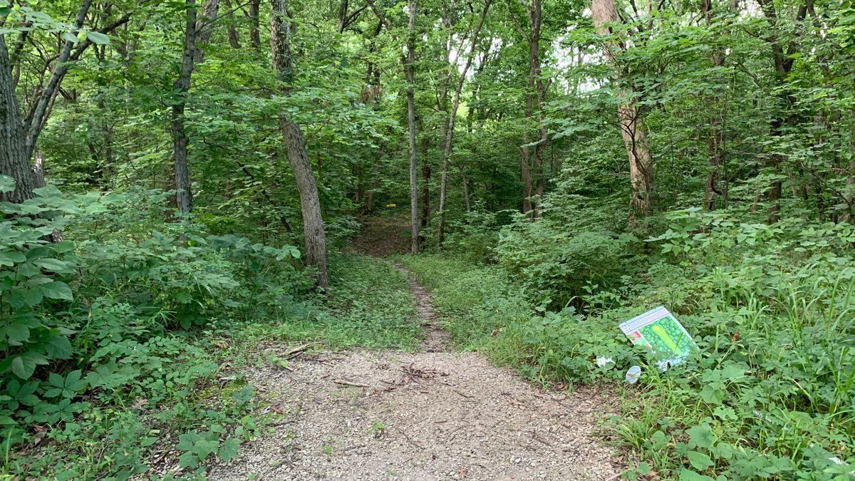 Hole 8
