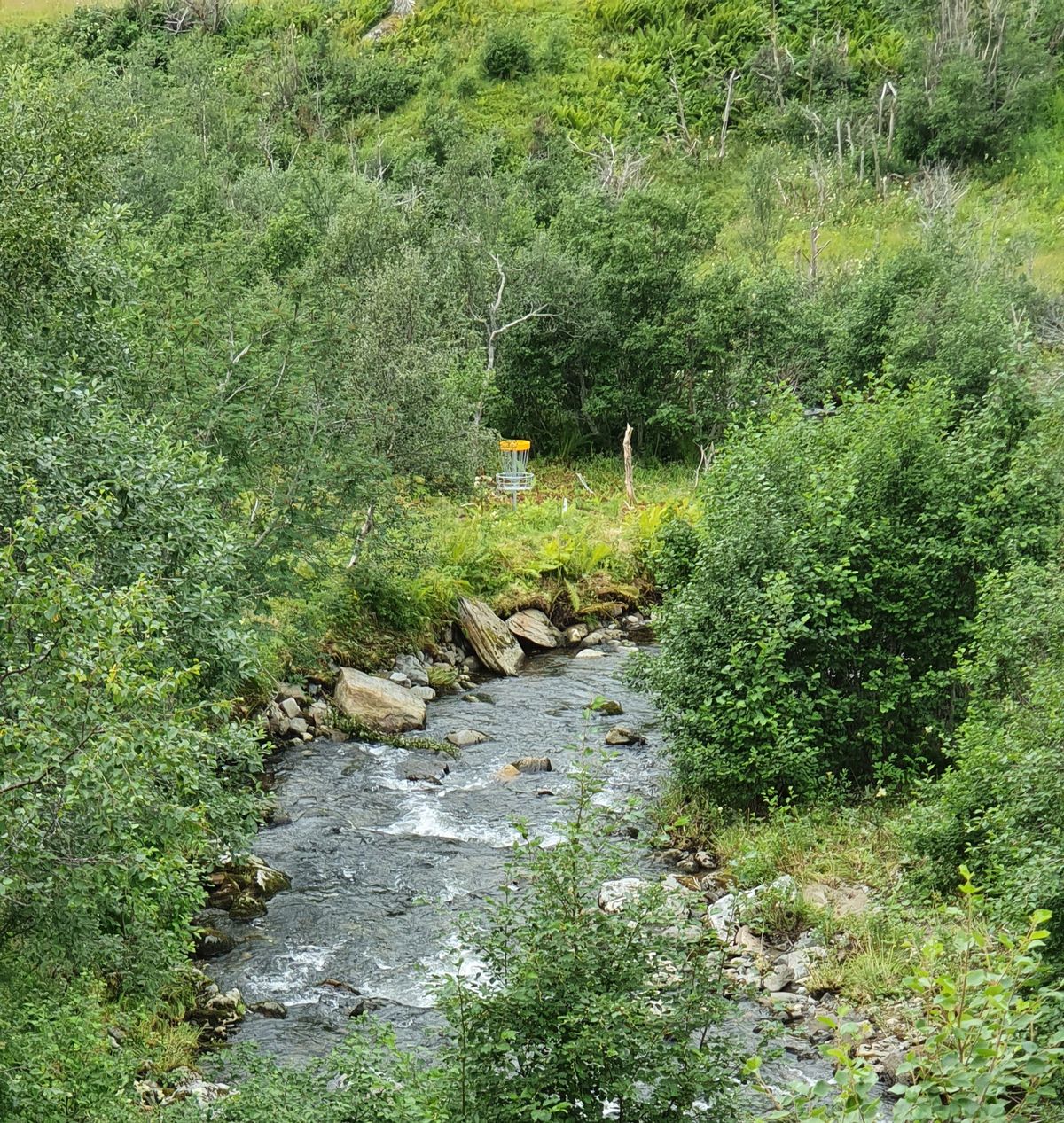 Kurv 5 sett fra utkast 5