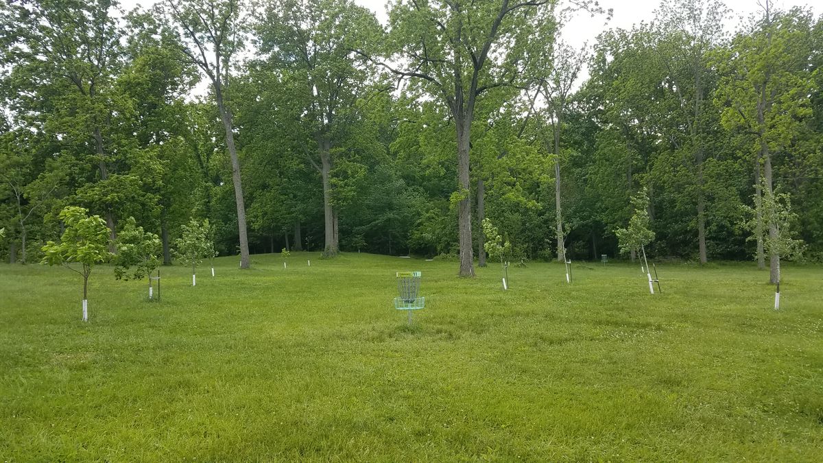 Looking back from the short position