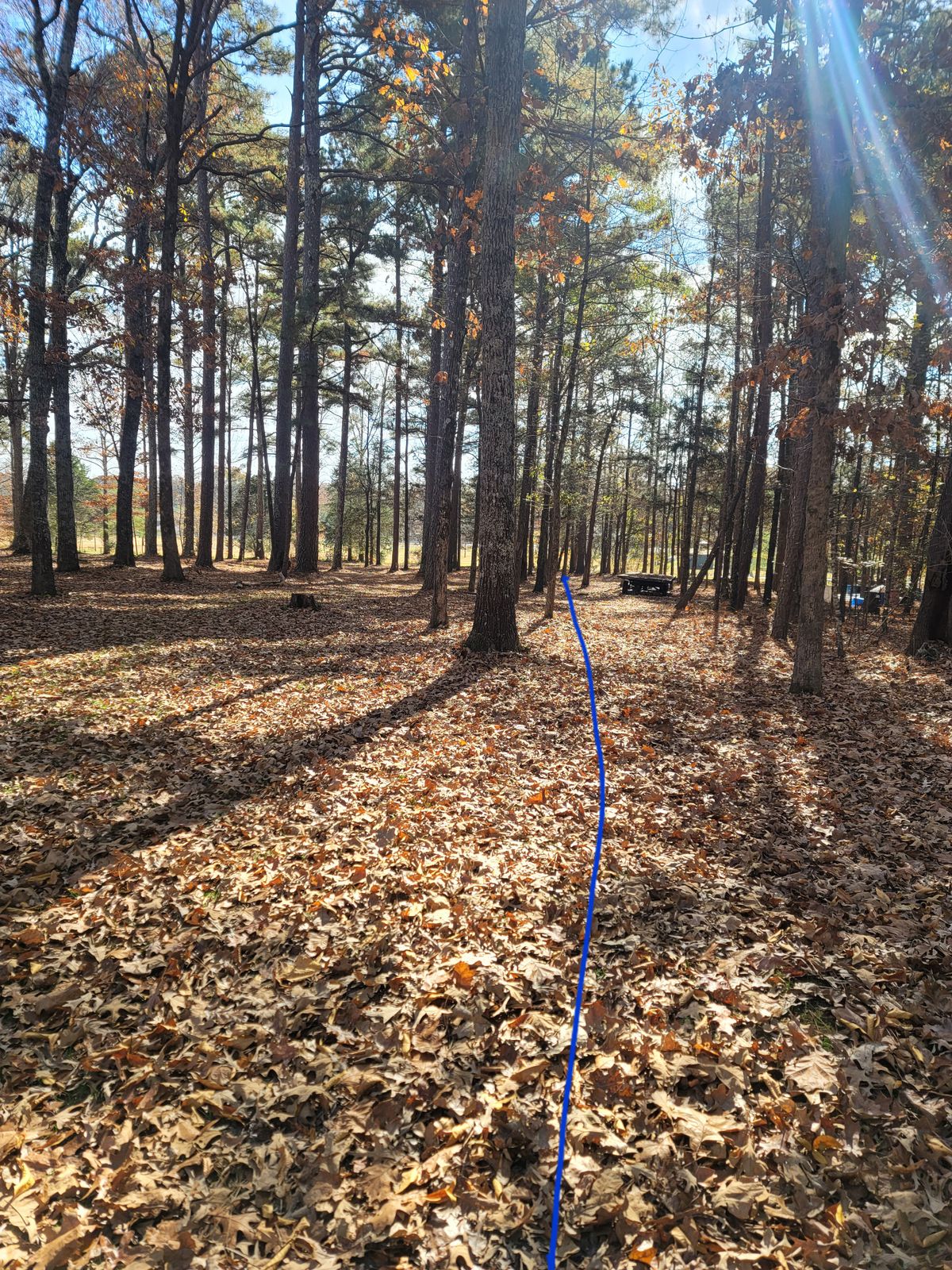 Hole 14 
Short 213