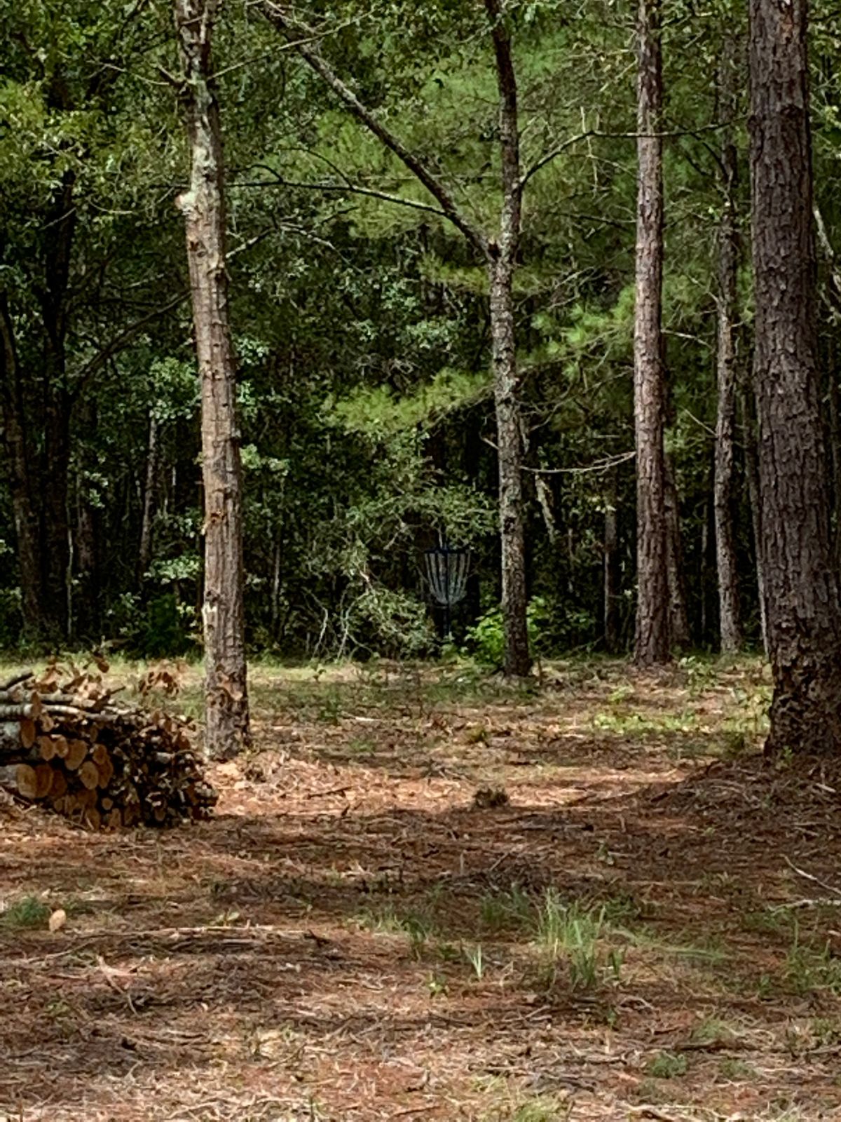 Approach from tee 2, blue basket