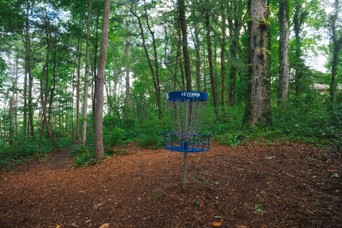Hole 5 long basket