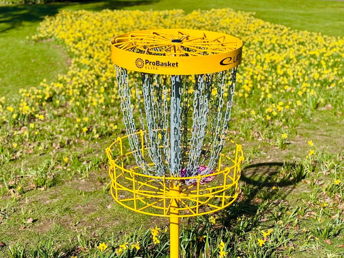 Hole 5 basket
