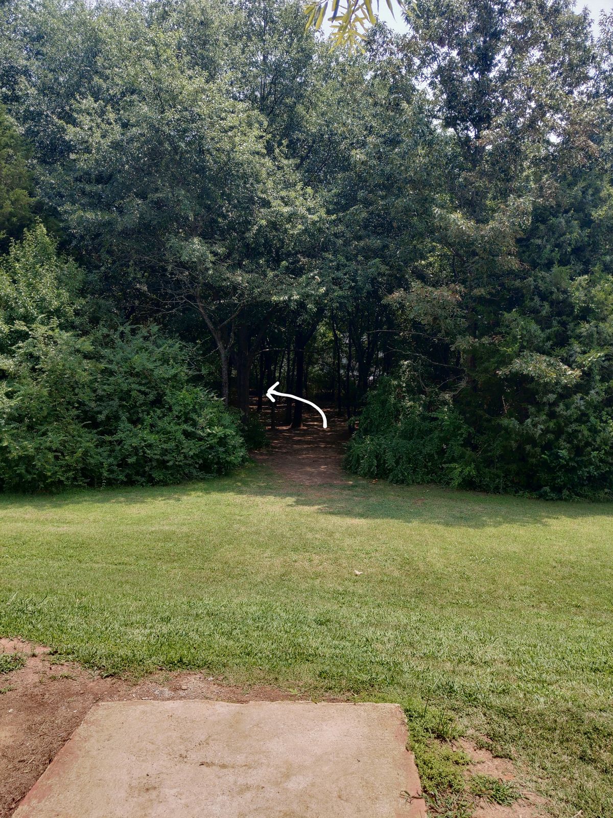 View from tee box.