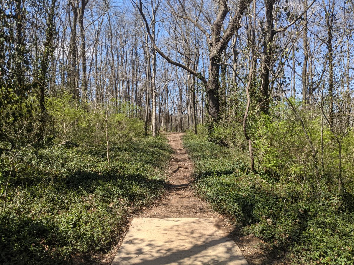 The second hardest hole on the course, hole six is a long dogleg left with an initial gap a third of the way down the fairway.  A tree lined fairway and a cluster of guardian trees near the green and a 20 foot slope running the length of the hole on the right and you have a challenge.  Enjoy!