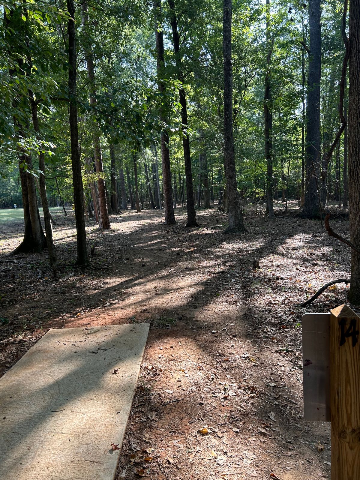 Hole 14 Tee