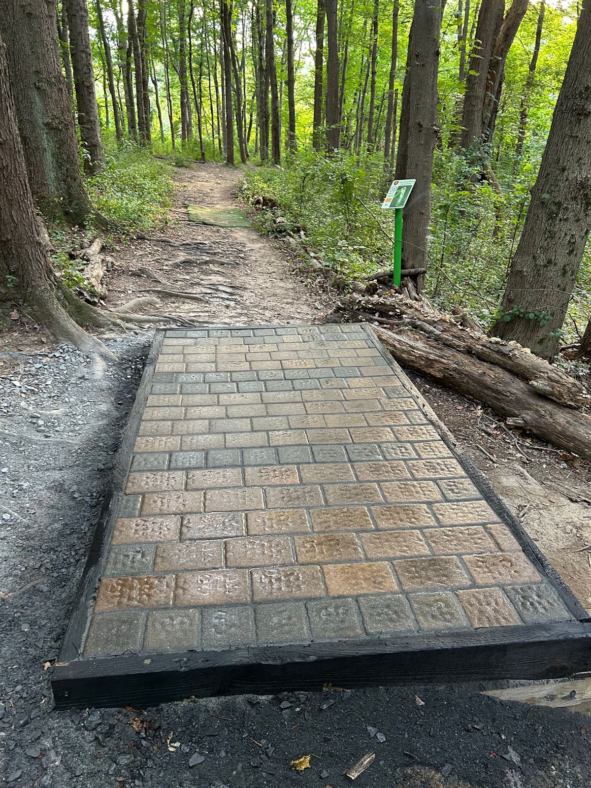 New hole 11 T-Pad