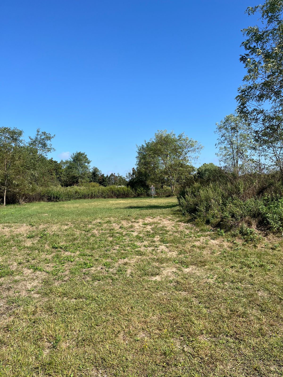 Hole 16 basket