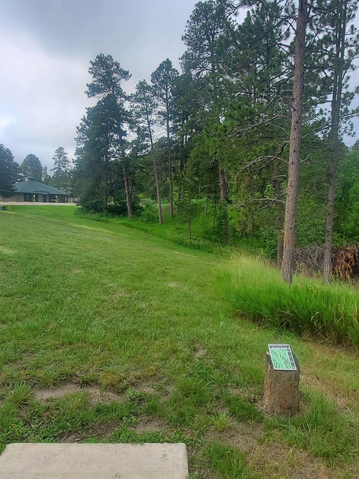 Hole 7