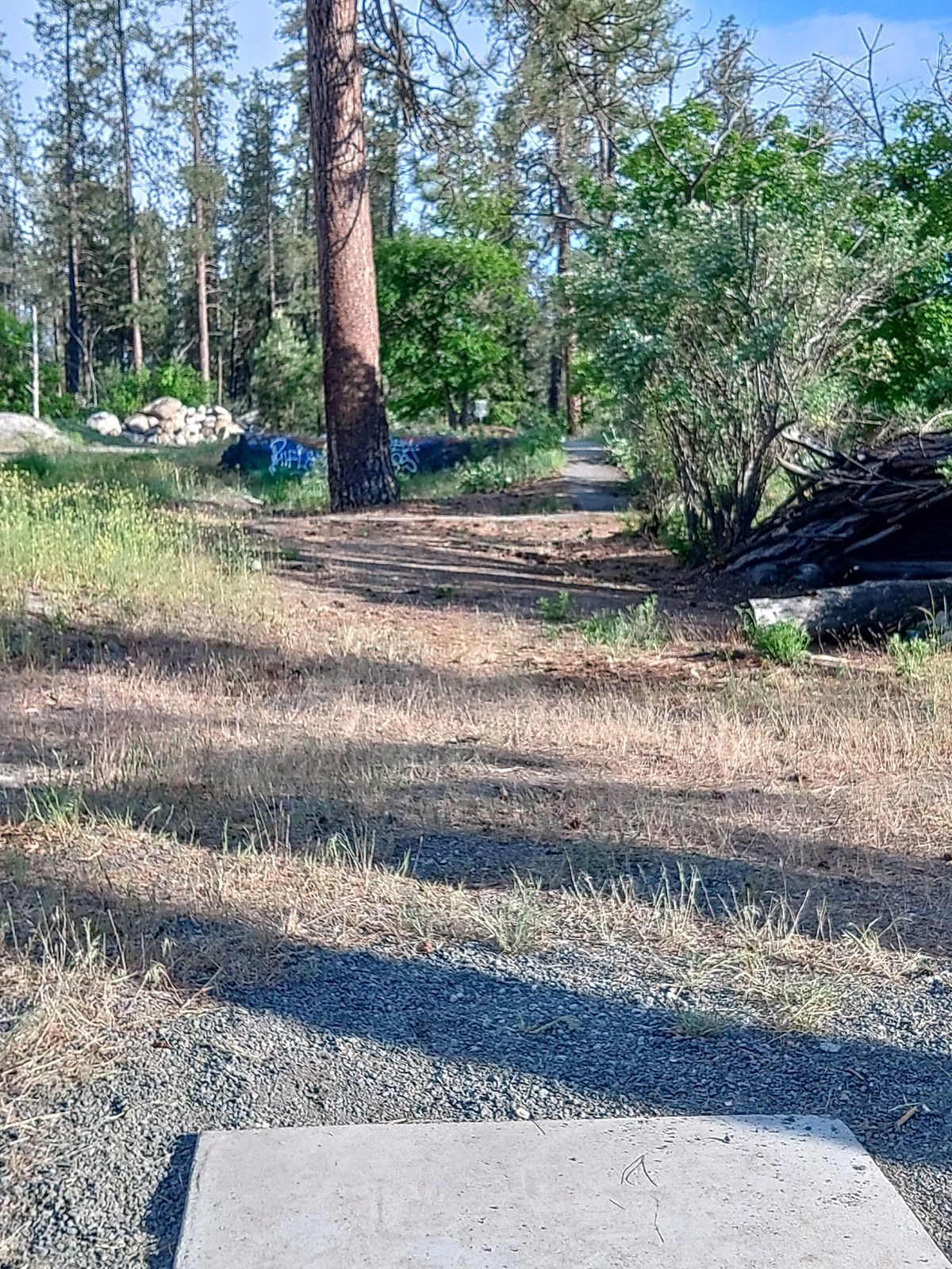 Fairway 13. Road on right and over OB. Can go straight but also out and around to the left.