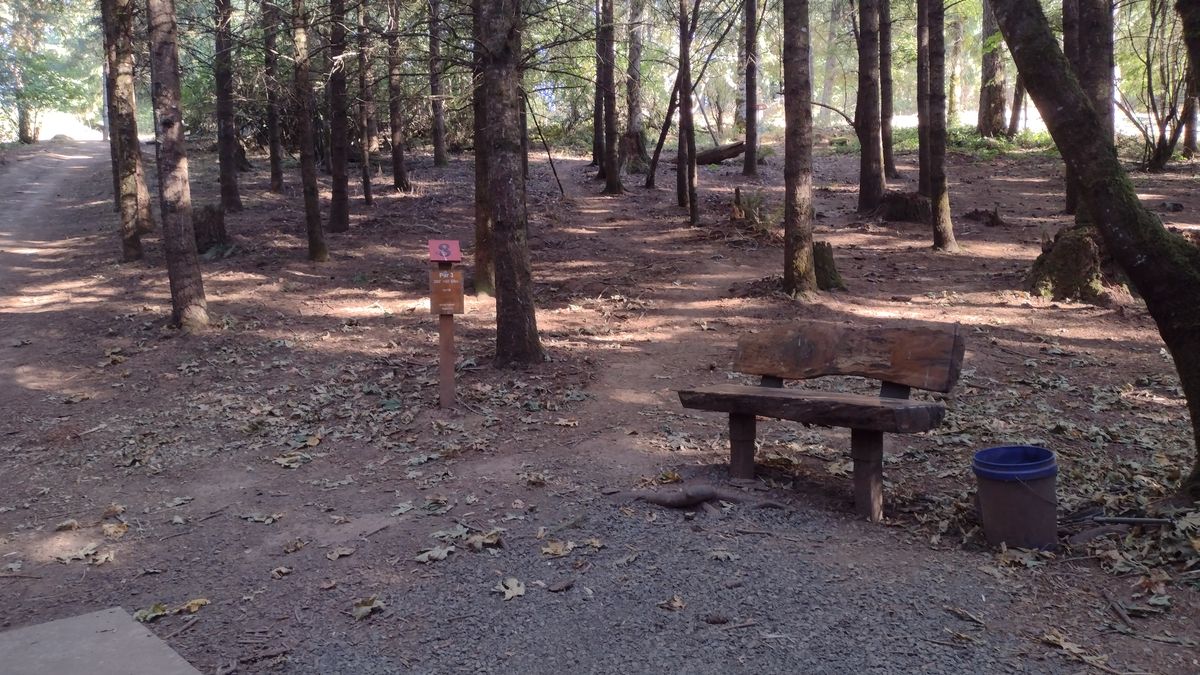 Area of tee 8
