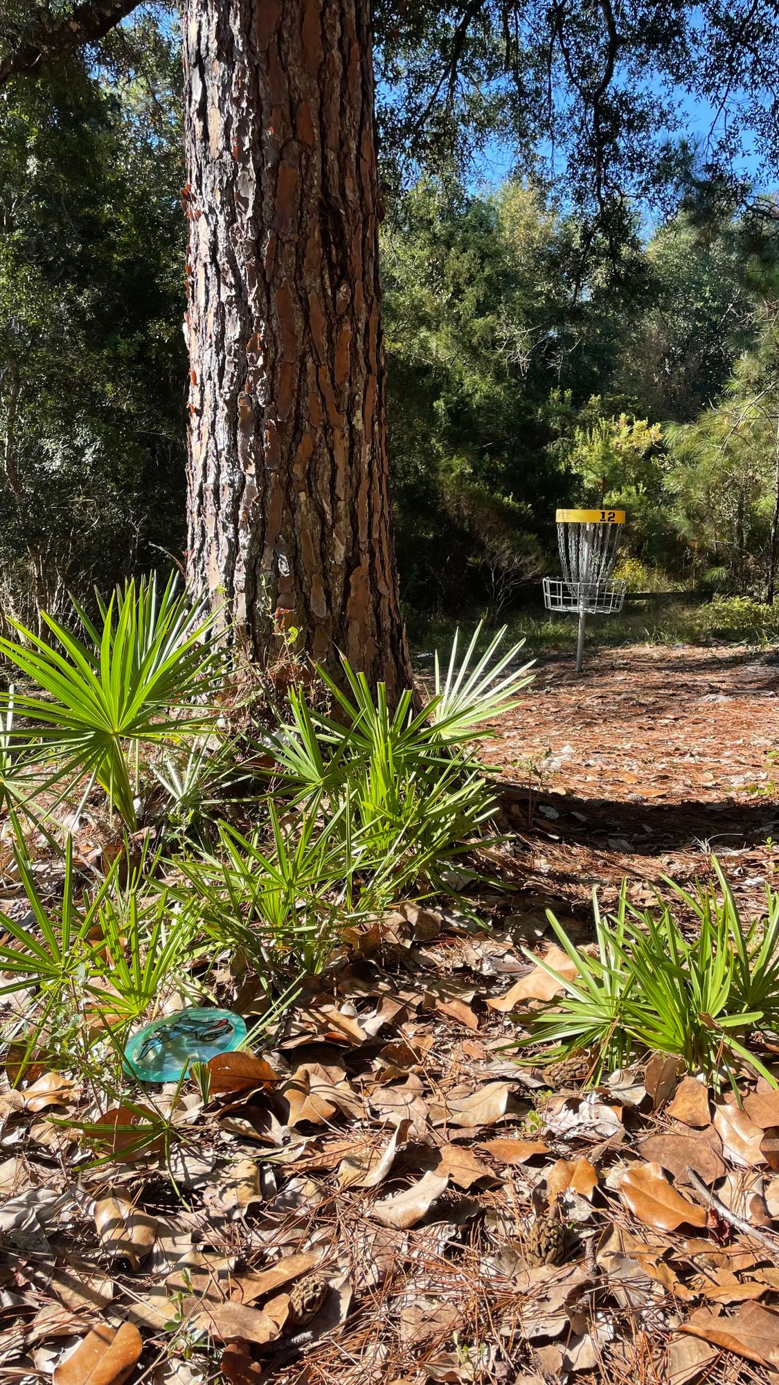 Hole 12