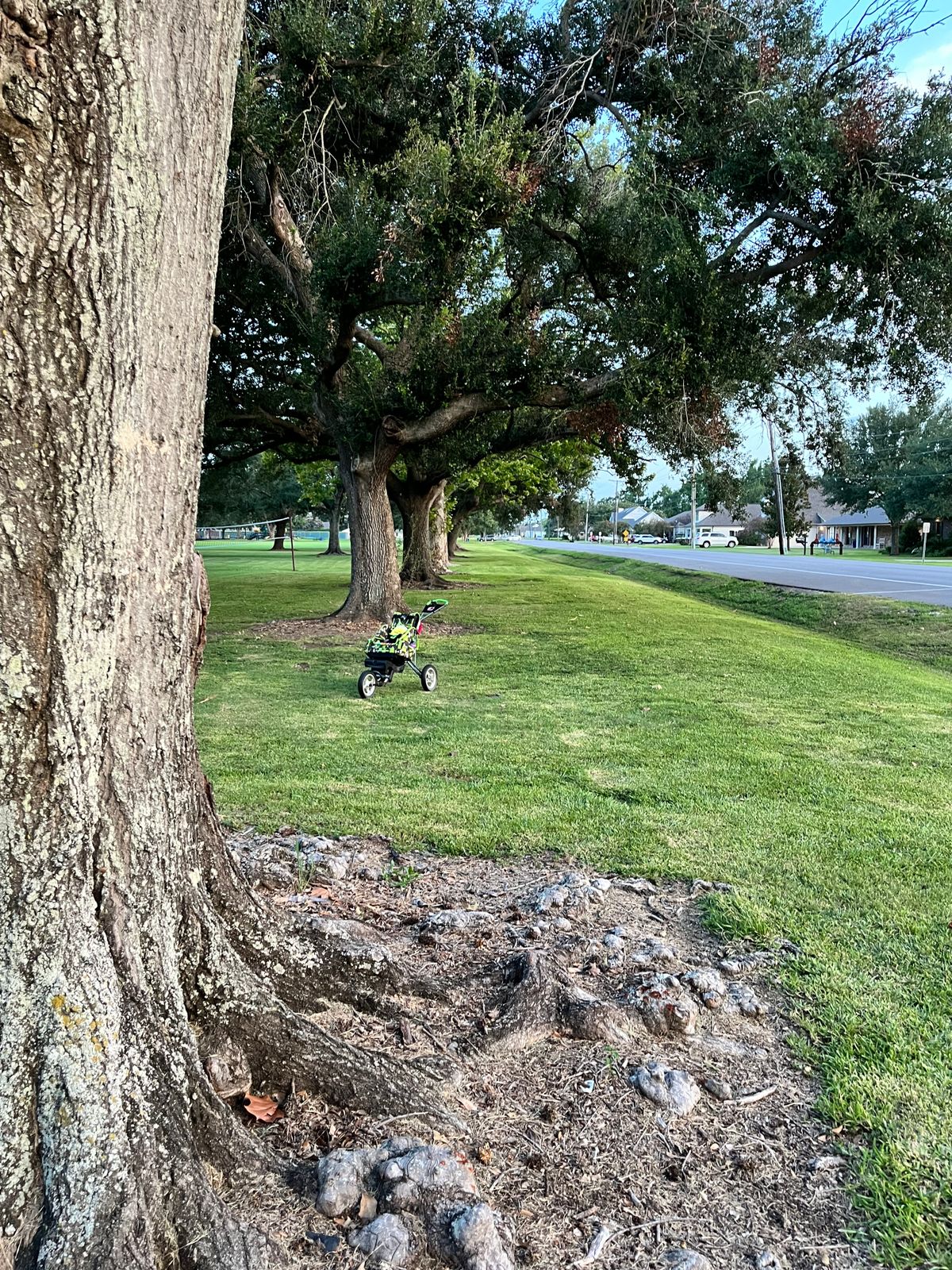 Hole 4 Green (cart represents target)