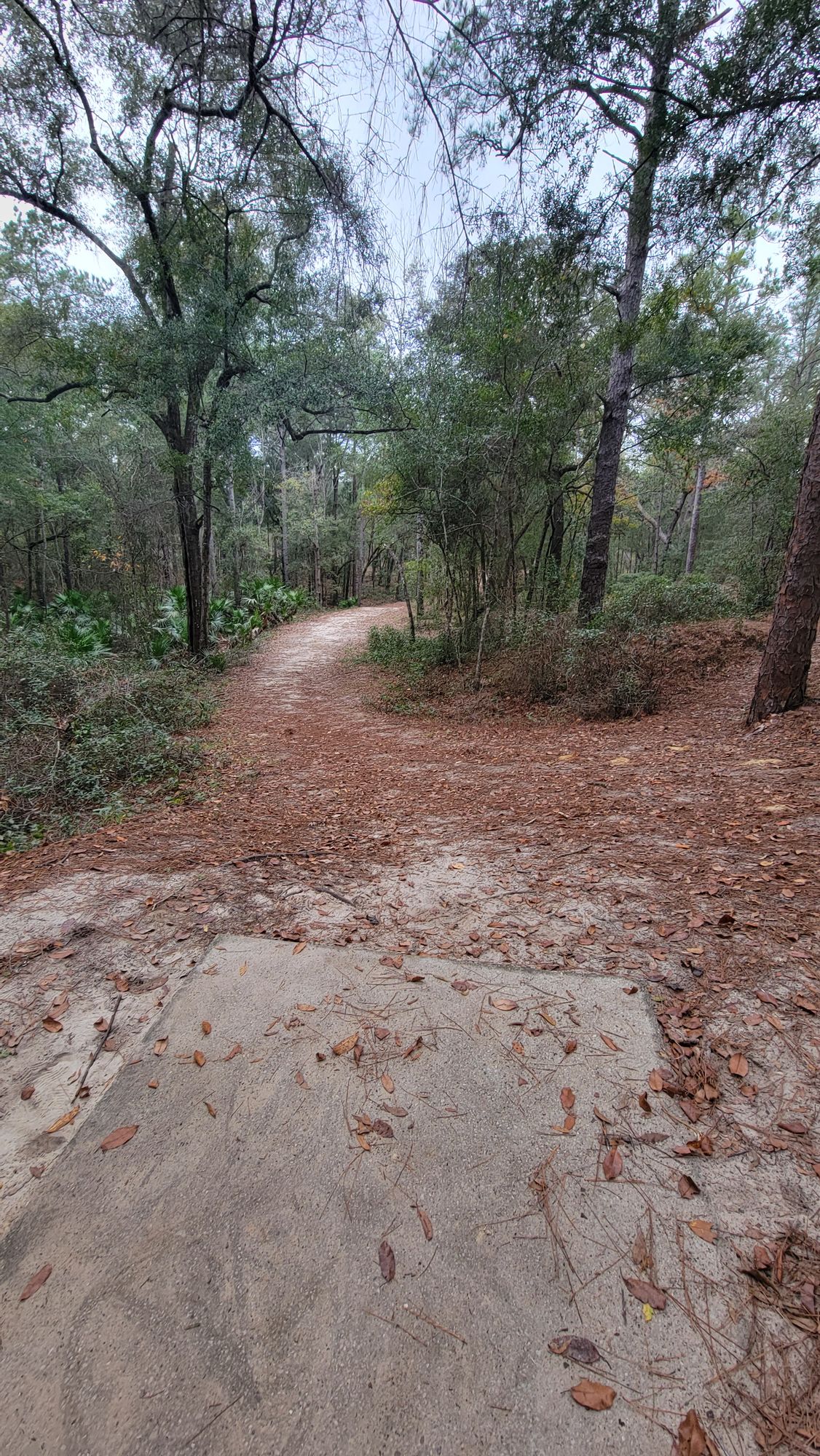 leaving #13 green
