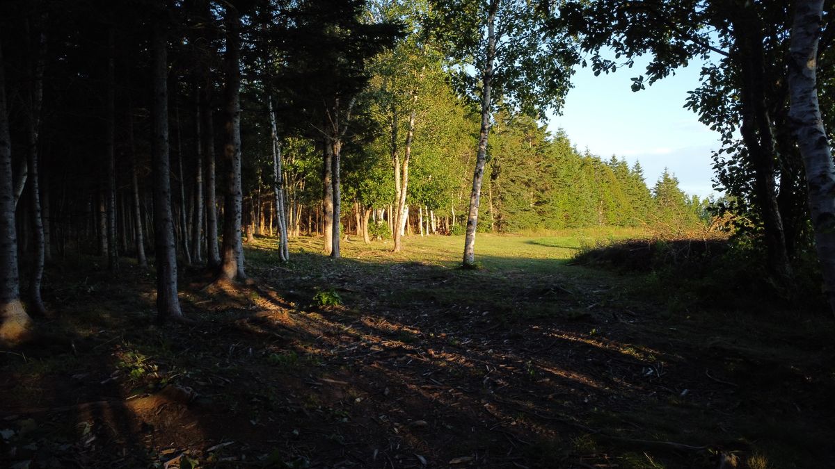 Fairway of hole 2.