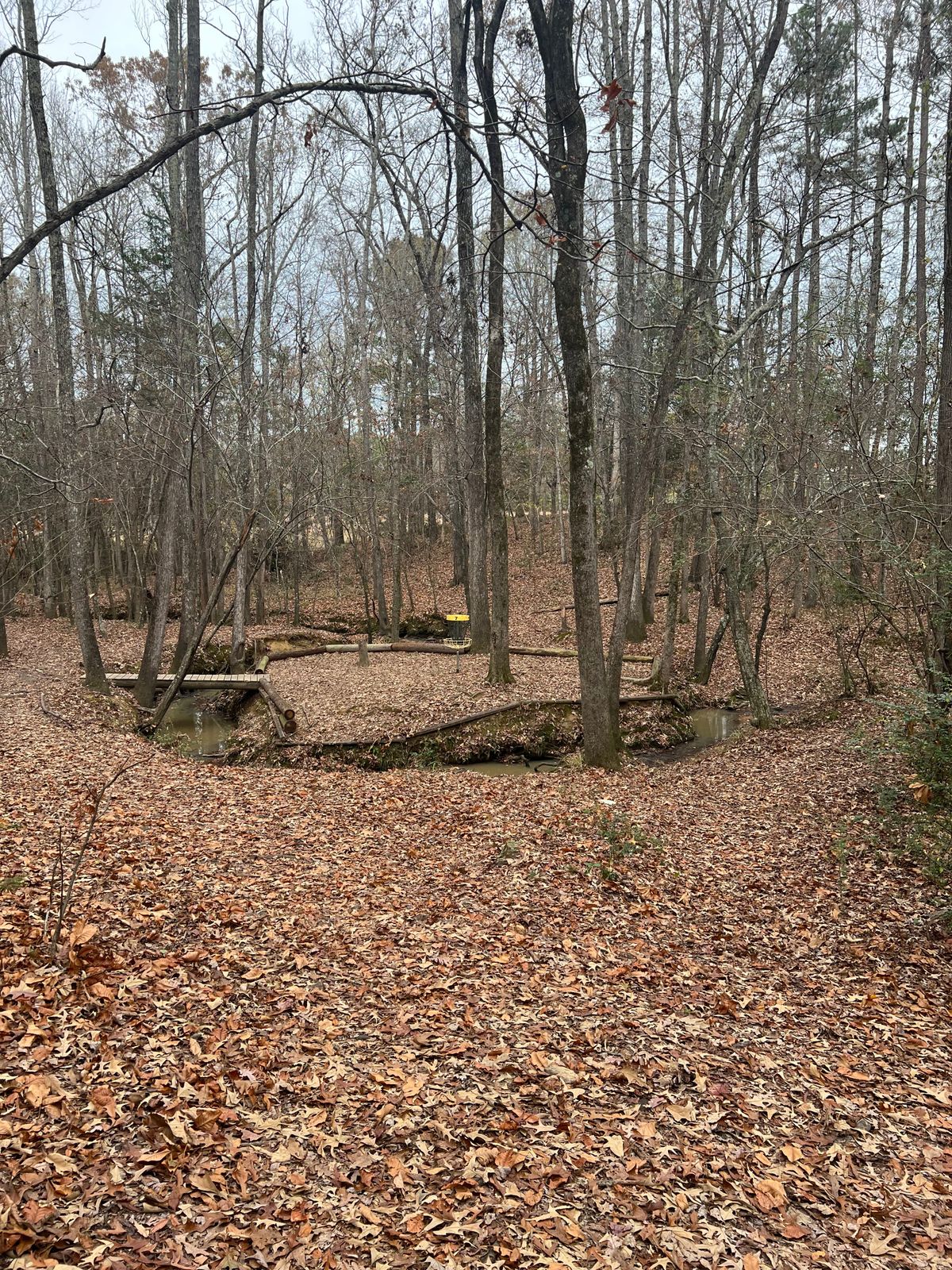 Hole 7 island green
