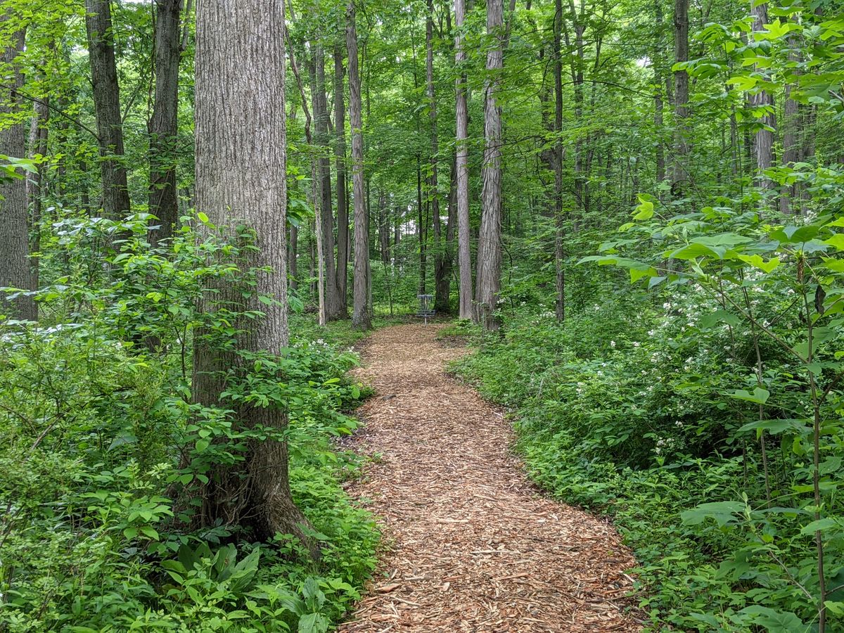 Hole 14