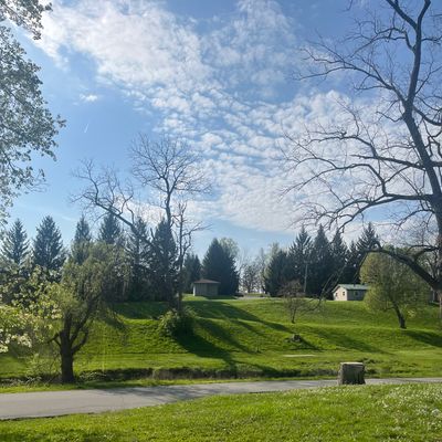 View from Basket 03 fairway!  So beautiful.