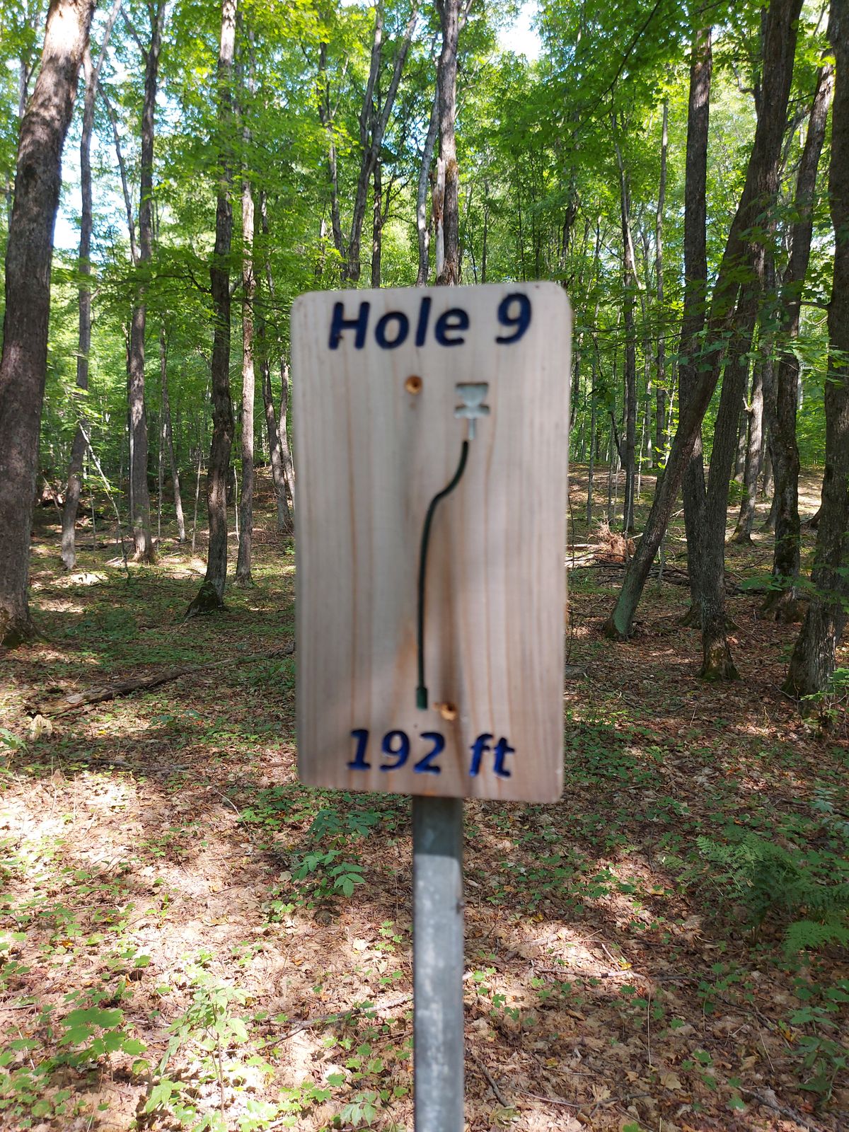 Hole sign #9.🍀🪵☘🌳