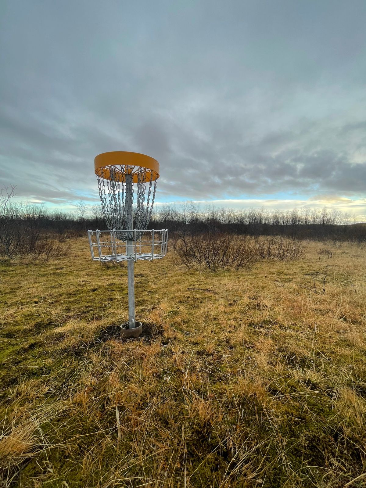 Newly installed DiscGolfPark baskets in this beautiful little course