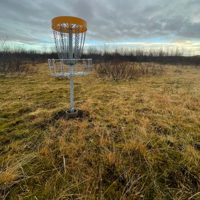 Newly installed DiscGolfPark baskets in this beautiful little course