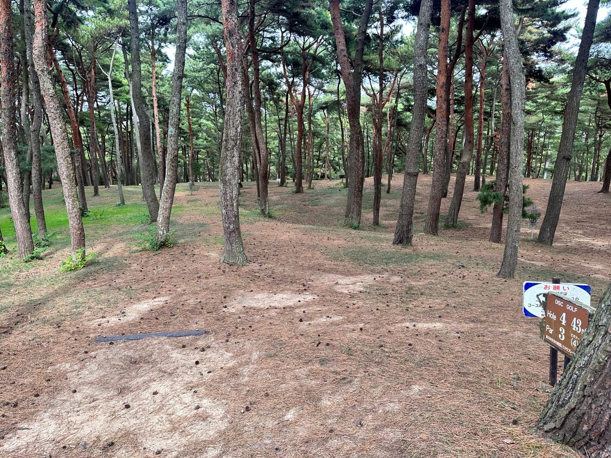 Hole 4