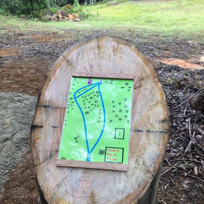 Hole 3
