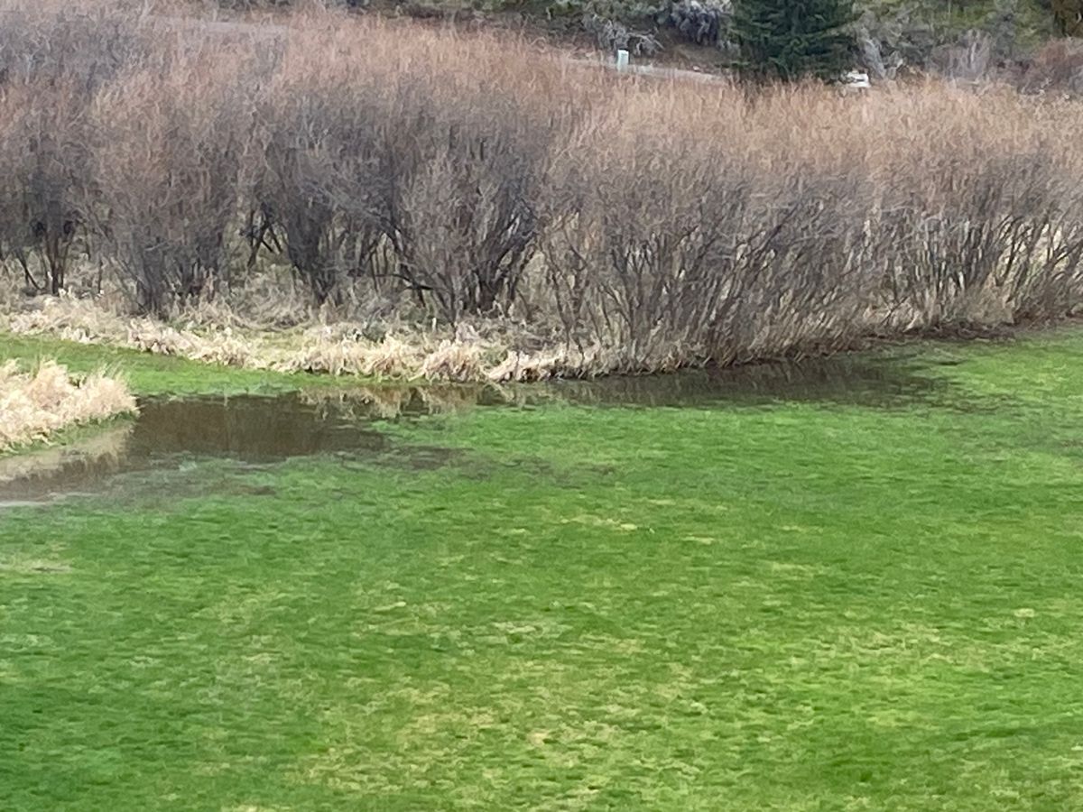 Hole 11