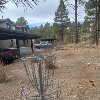 Basket 3, looking back at tee box