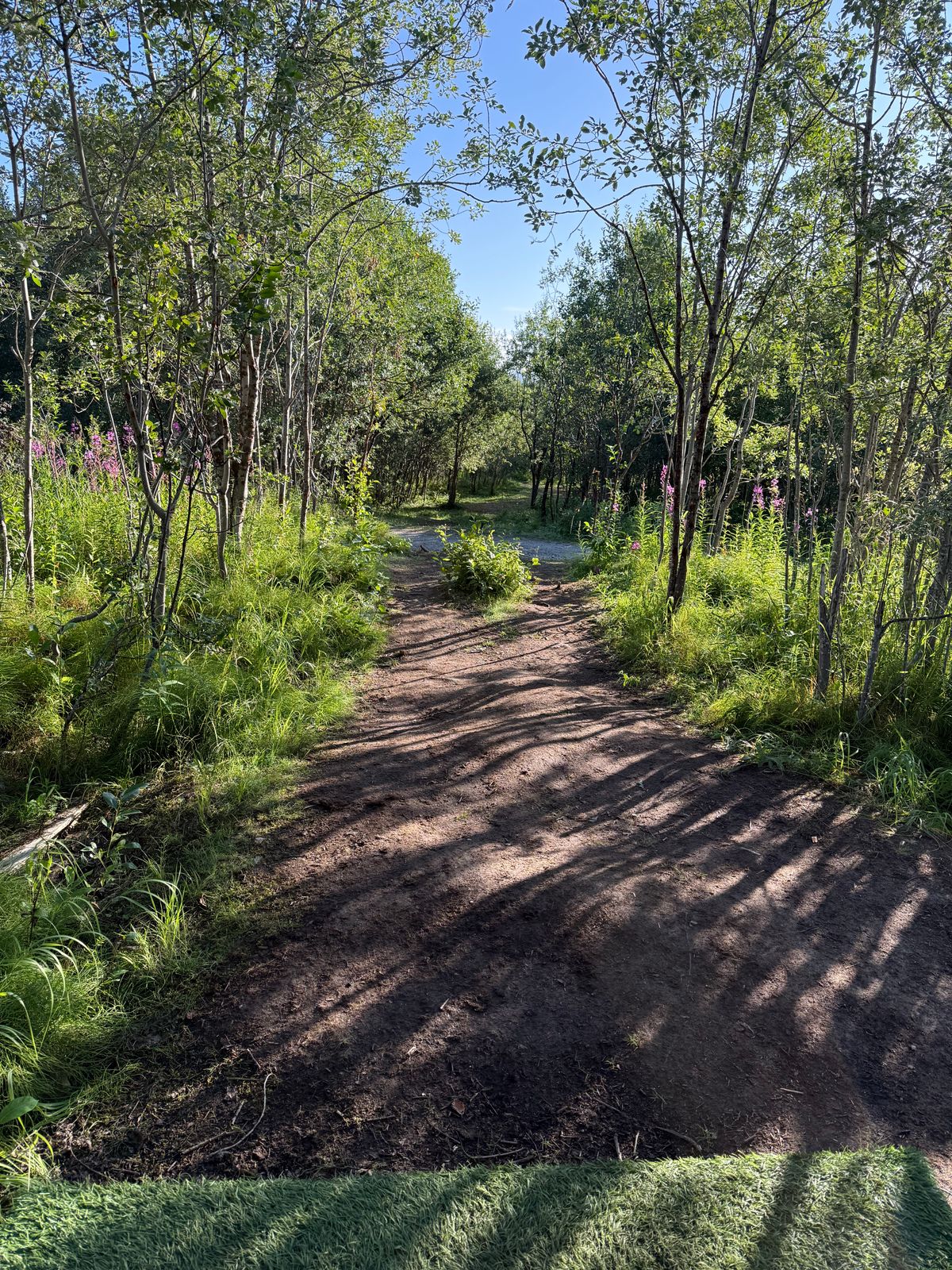 Hole7