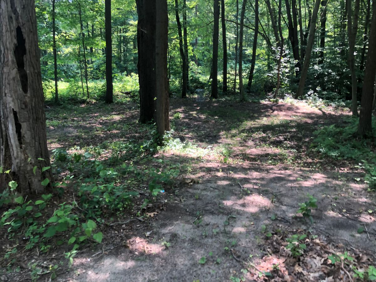 Hole 2 fairway