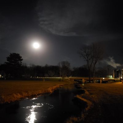 Great night round. Glow friendly