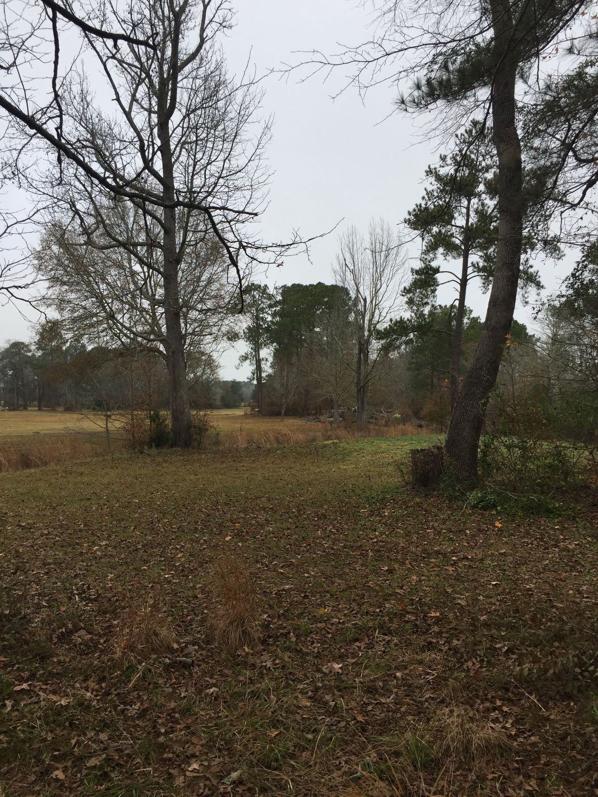 Hole 6