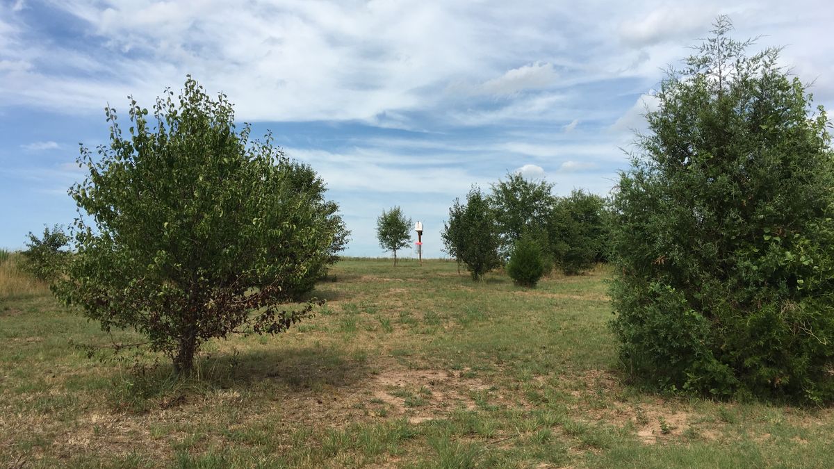 Hole 9