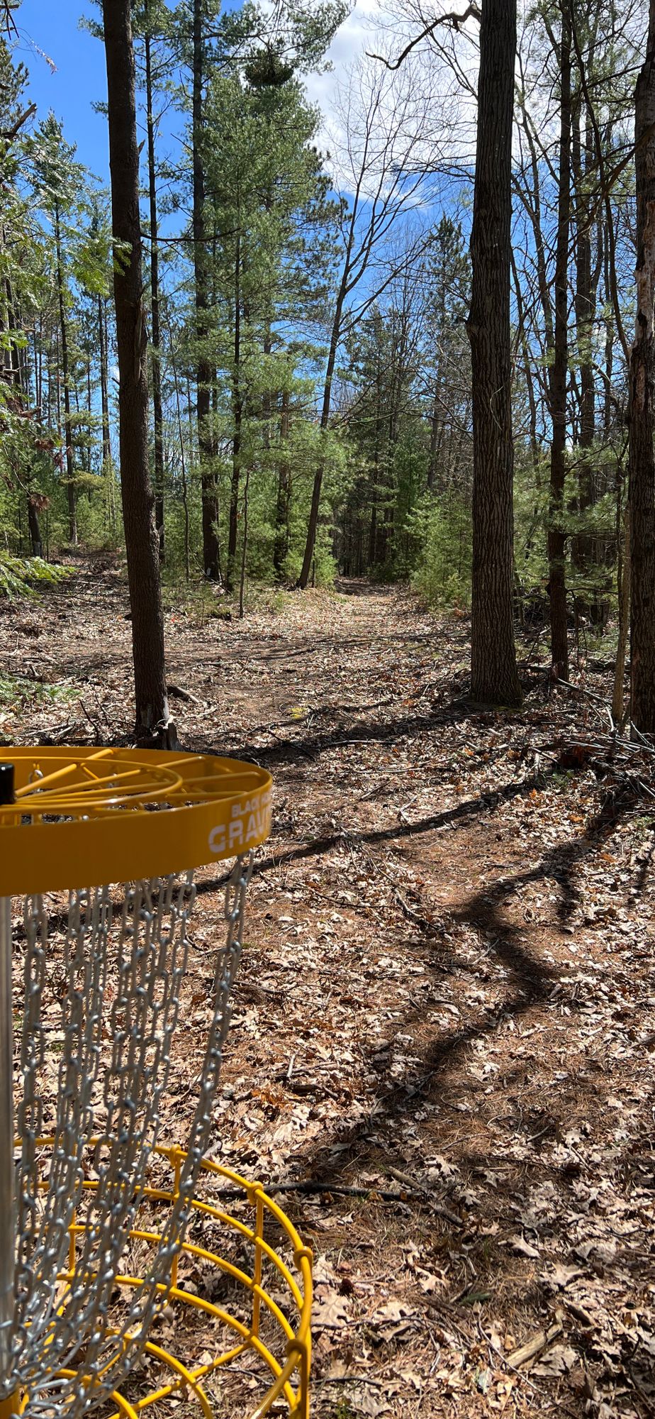 Hole 6 from pin