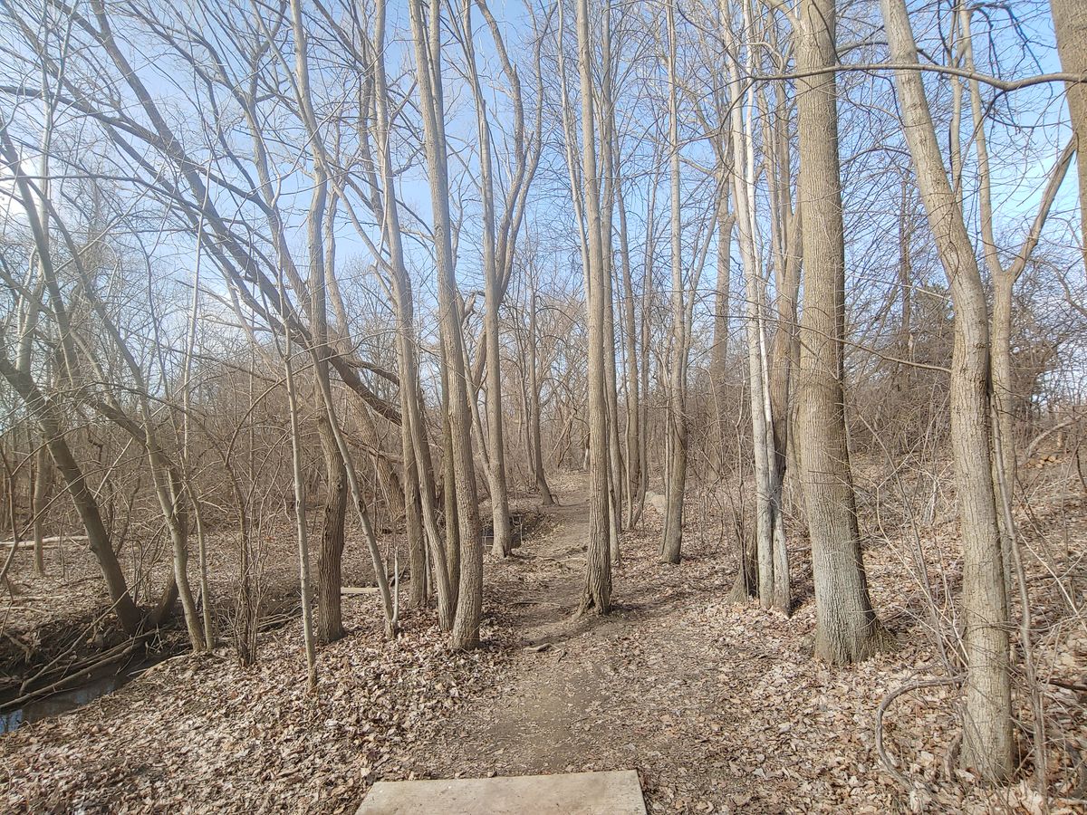 Hole 4