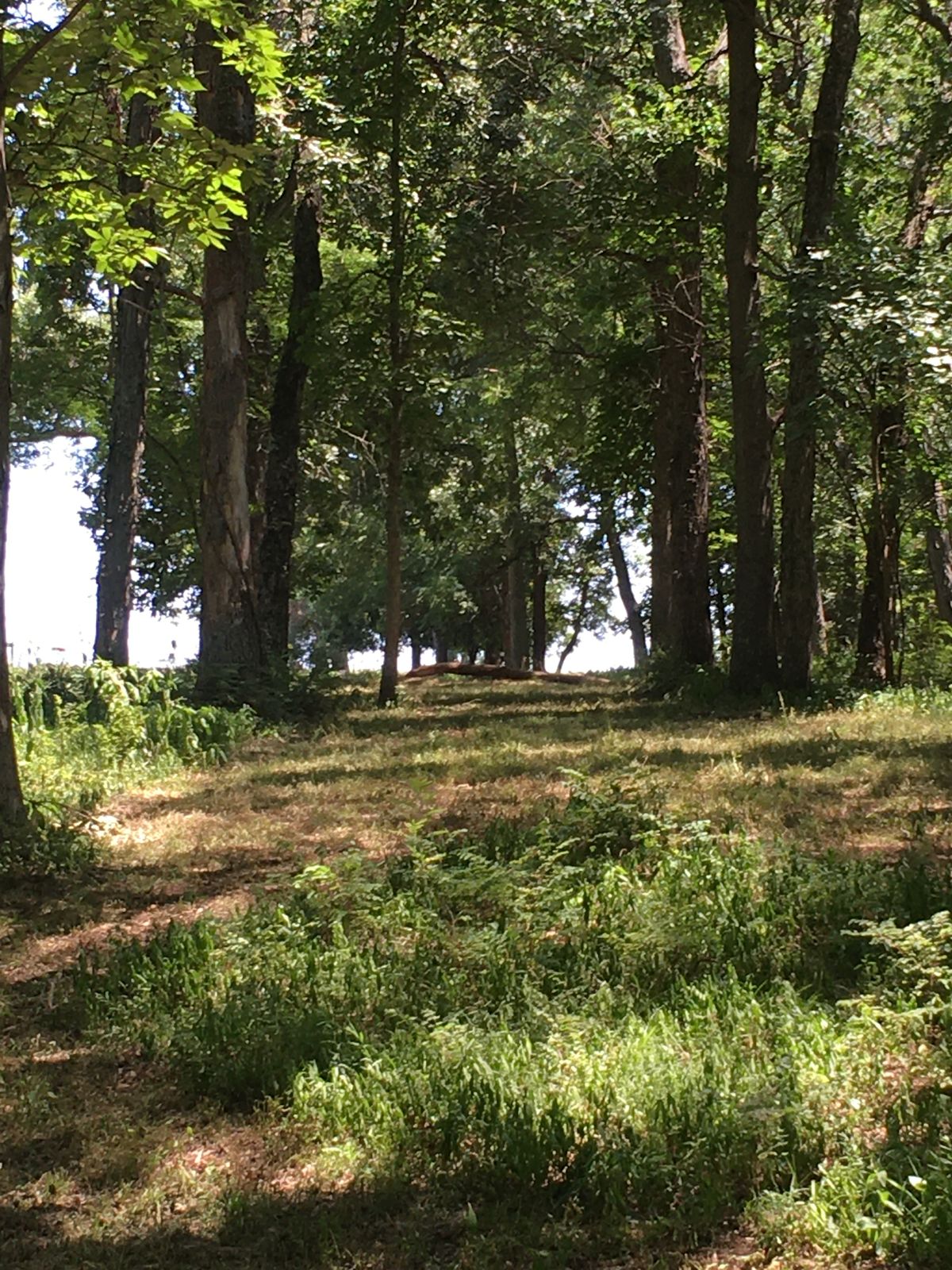 Looking back at hole 4s Tee Pad