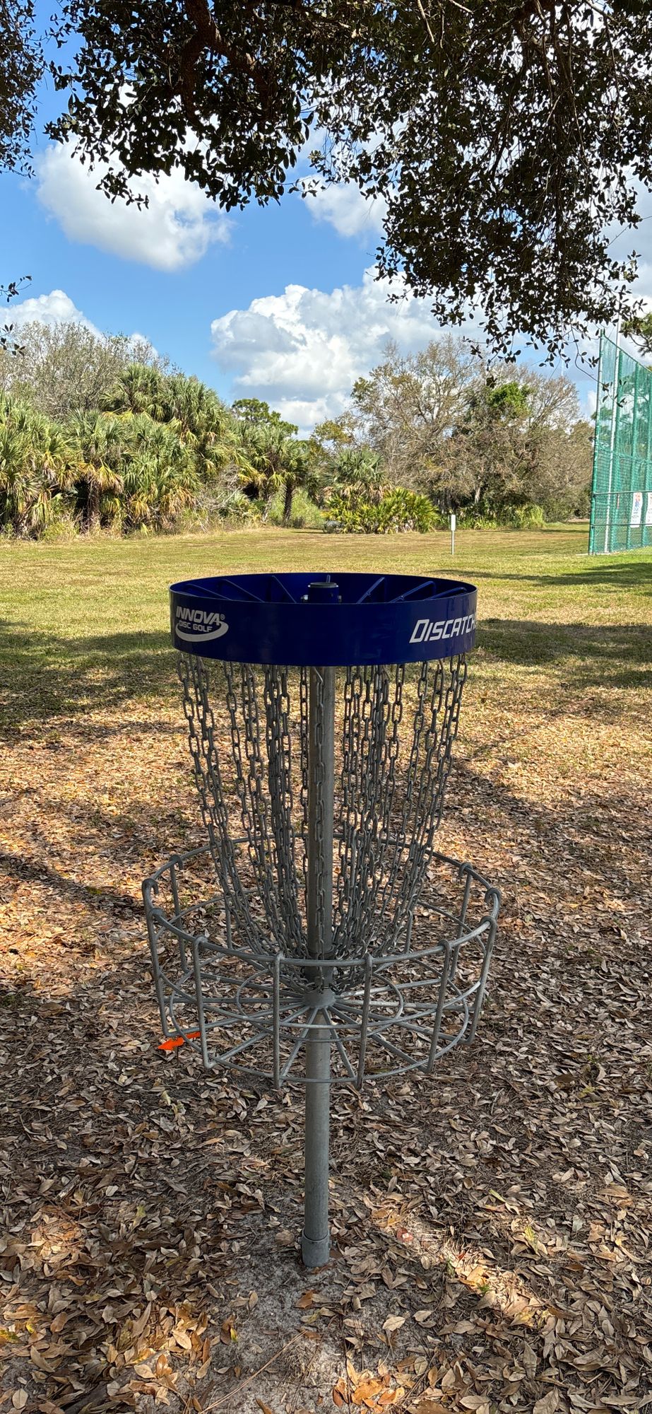 Hole 3 blue basket