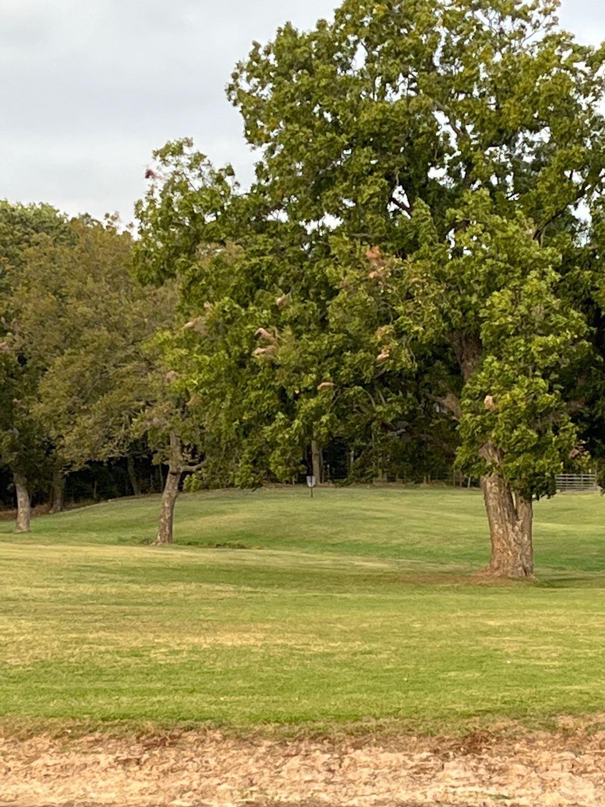 Hole 7 basket
