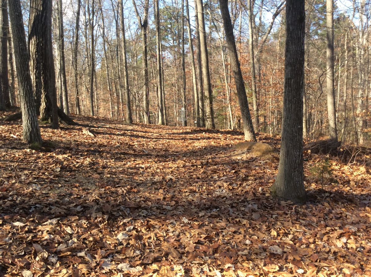 Hole #11