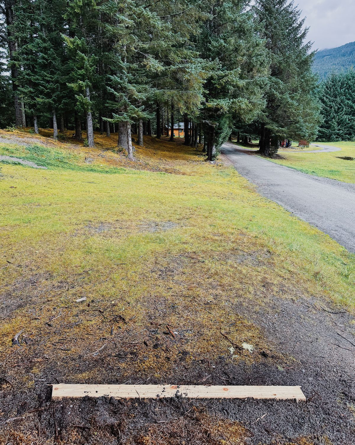 Hole 2 Tee Pad