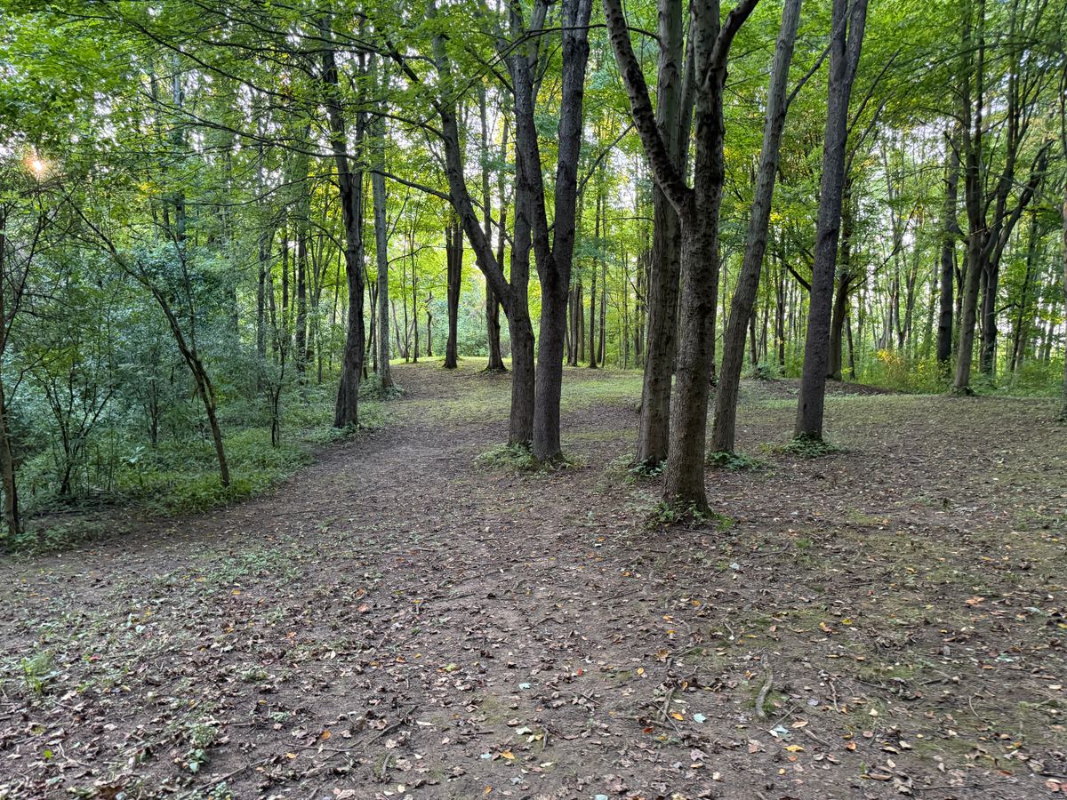 Hole 6 Fairway