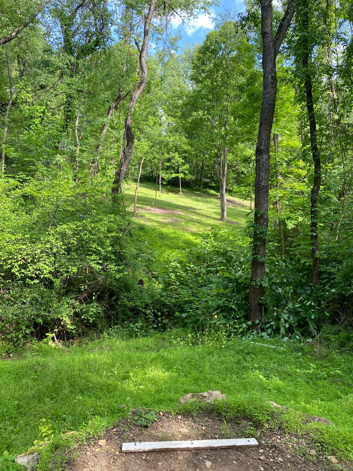 Hole 2 White tee