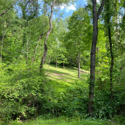 Hole 2 White tee